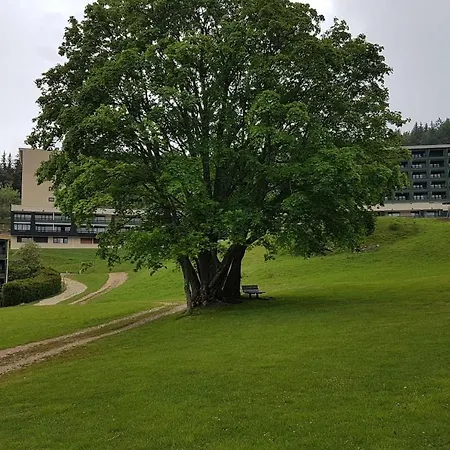 Apartment Chaleureux Aux Pieds Des Pistes De Des Glovettes